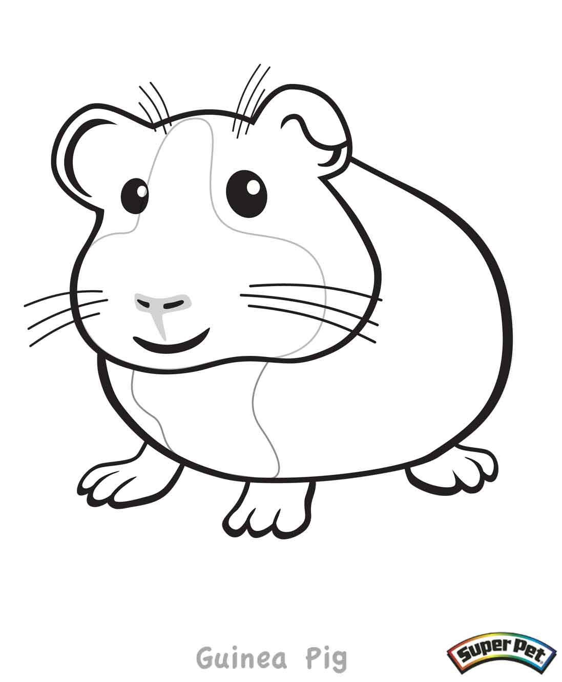 Guinea Pig Coloring Pages - Kidsuki