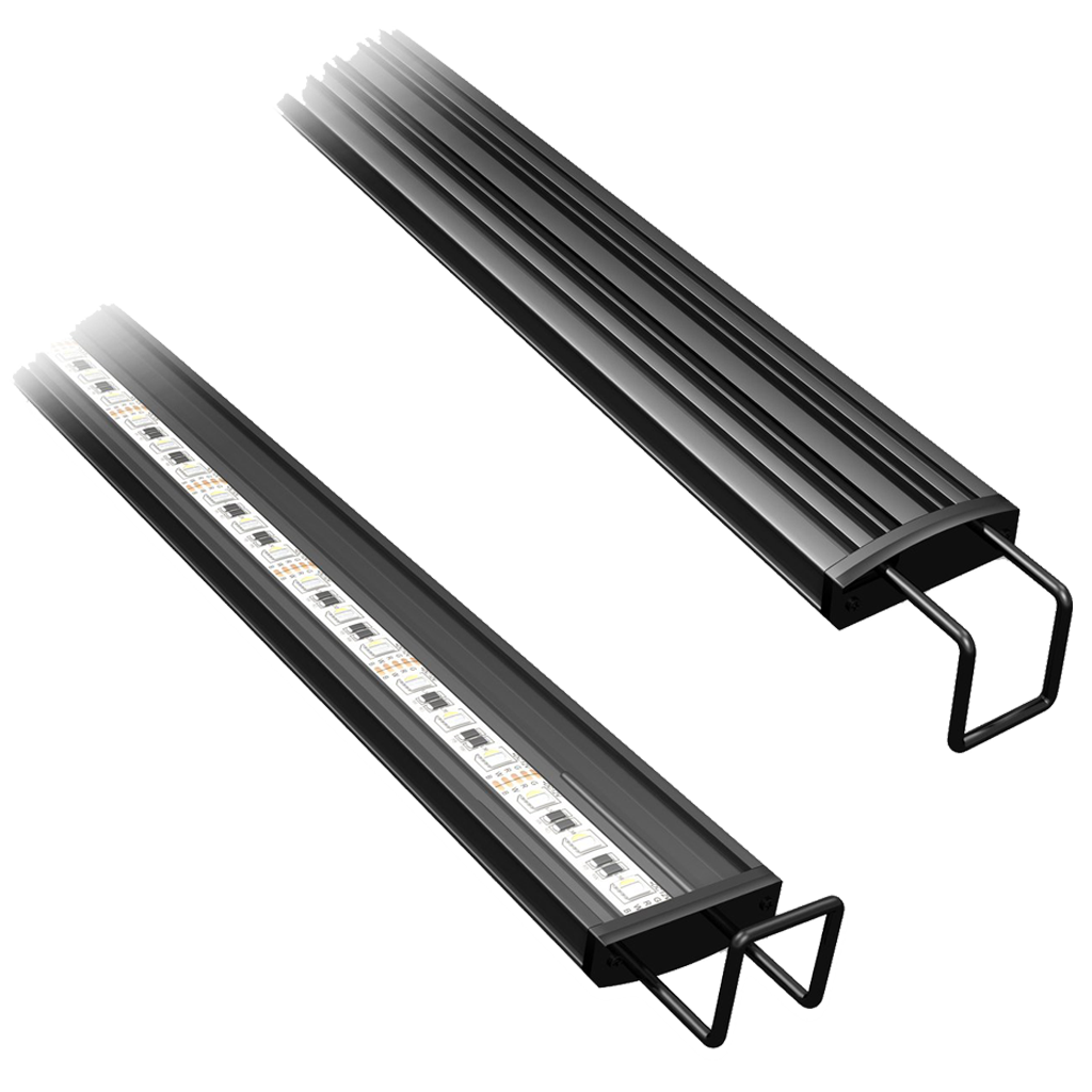 aquatic life reno wifi led