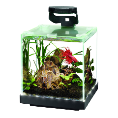 aqueon-edgelit-cube-rimless-tank-1-gallon