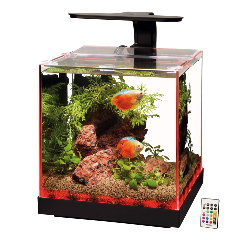 aqueon-edgelit-cube-rimless-tank-3-gallon-with-remote aqueon-edgelit-cube-rimless-tank-3-gallon-with-remote
