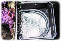 cobalt c vue micron filter sock