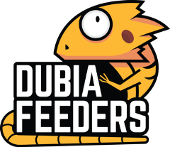 dubia feeders