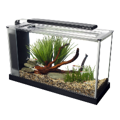 fluval-spec-v-5-aquarium