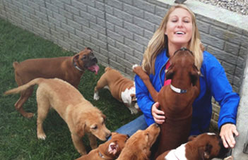 ok google pet stores near me