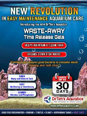 new dr tims waste away gels informational new dr tims waste away gels informational