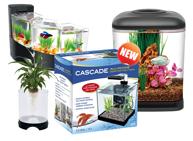 desktop aquariums