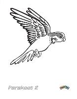 Parakeet-2