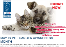 community MAY IS PET CANCER AWARENESS MONTH