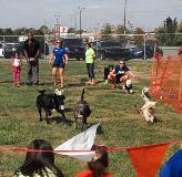 Community YMCA Day