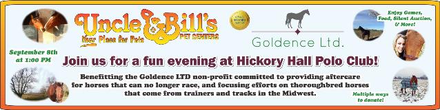 Hickory-Hall-Polo-Event-for-Goldence-LTD-Horse-Rescue