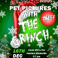 PICTURES WITH THE GRINCH FLYER instagram size copy