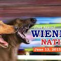 WienerDog-Nationals-2015-FB-Promo-Slide