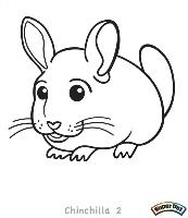 Chinchilla-2