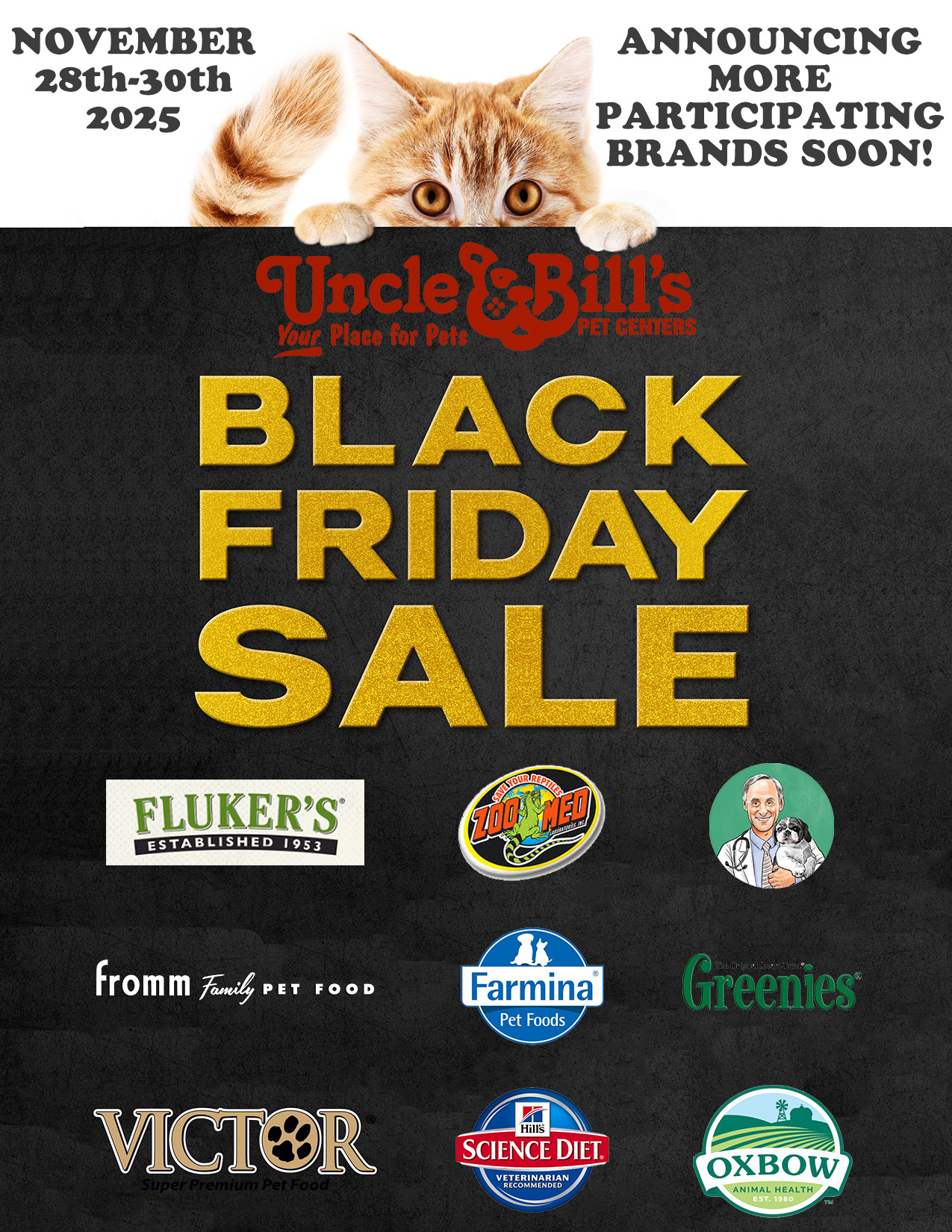 2025 black friday flyer