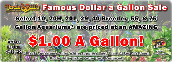 Uncle Bills Dollar a Gallon Aquarium Tank Sale
