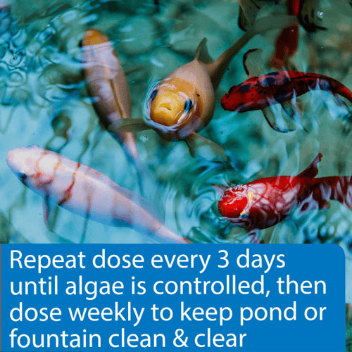 api pond algaefix final instruction step