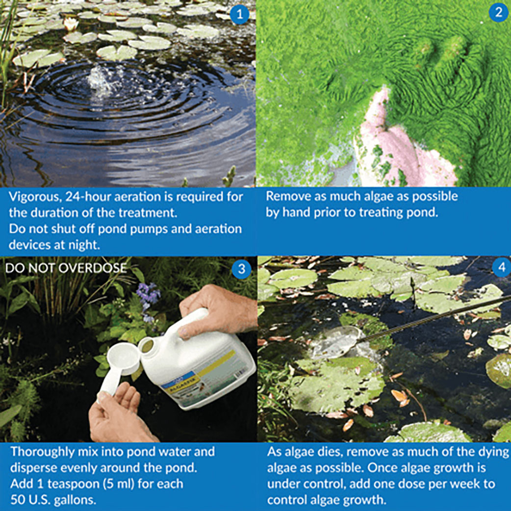api pond algaefix step by step instructions