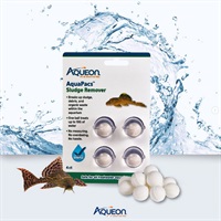 aqueon-aquapacs-sludge-remover-with-fish aqueon-aquapacs-sludge-remover-with-fish