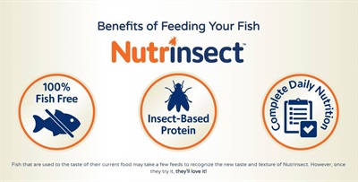 aqueon-benefits-nutrinsect aqueon-benefits-nutrinsect