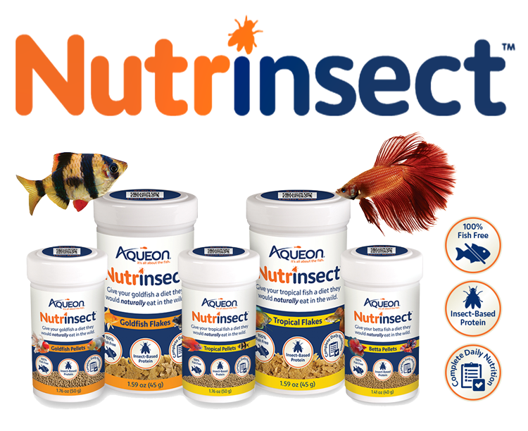 aqueon-nutrinsect-family-with-fish-and-logo-shot