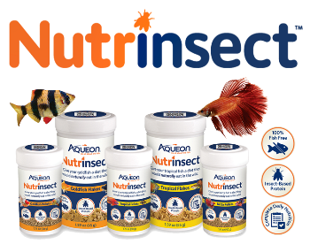 aqueon-nutrinsect-family-with-fish-and-logo-shot aqueon-nutrinsect-family-with-fish-and-logo-shot