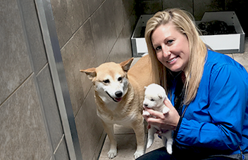 pet shop to buy dogs near me