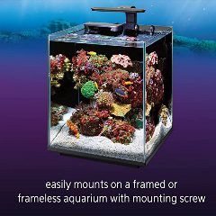 coralife-marine-clip-on-LED-light-on-biocube-lit