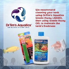 dr-tims-waste-away-gel-and-liquid-use