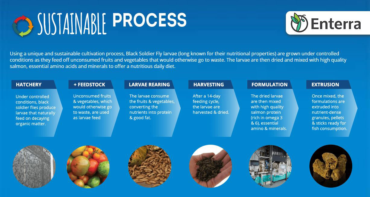 Fluval-bug-bites-sustainability-process