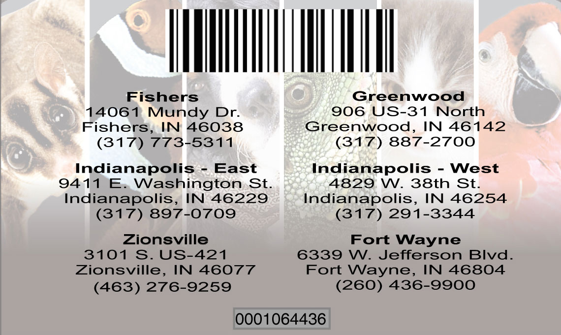 Goldfish-Card-Back-Copy