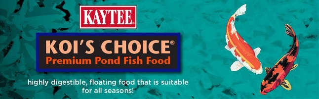 kaytee-koi's-choice-food-header-banner