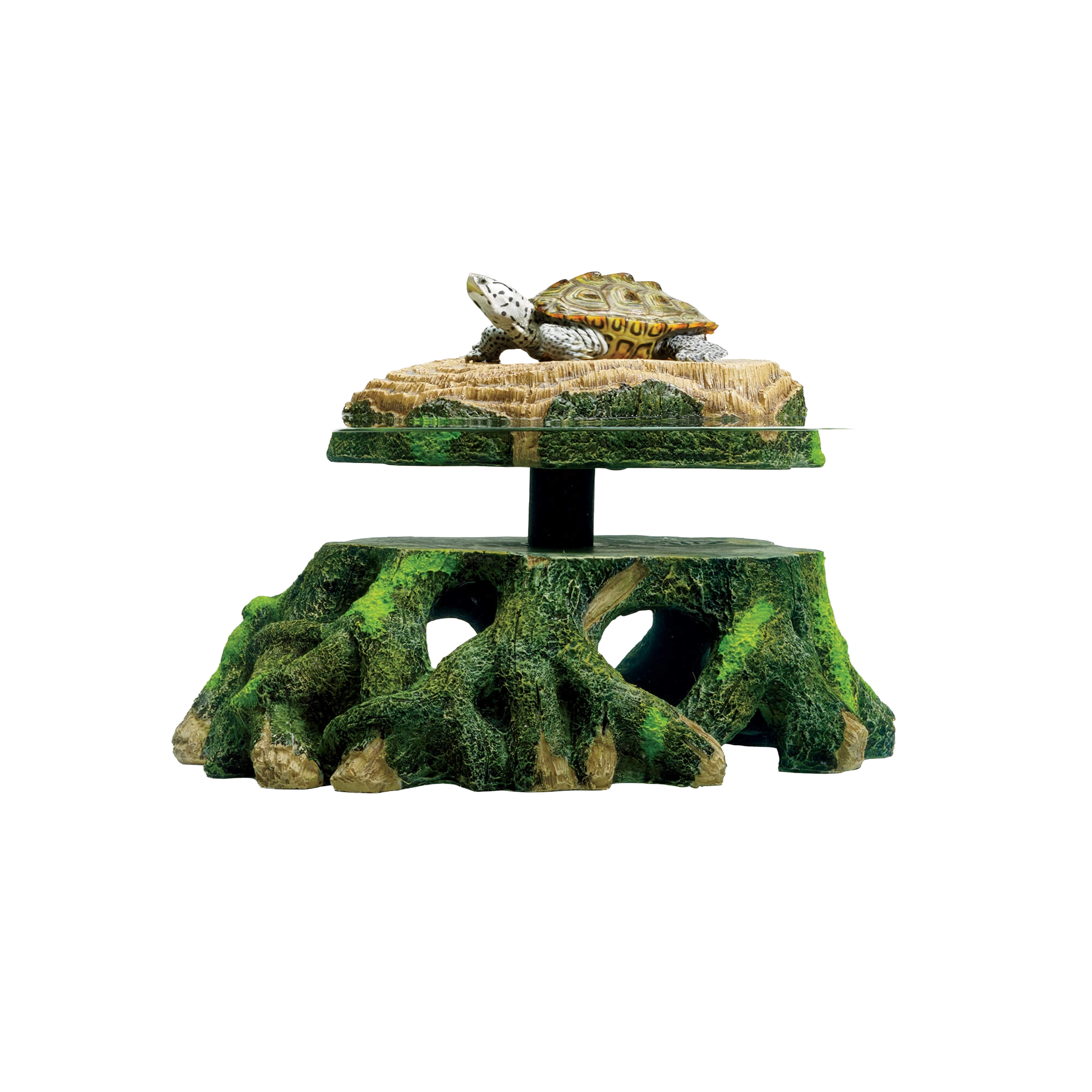 zilla turtle trunk in water