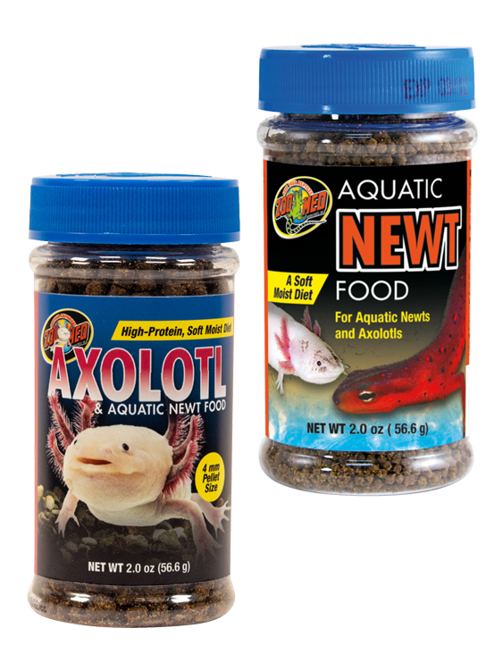 zoomed-aquatic-newt-and-axolotl-foods
