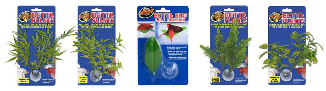 zoomed-betta-plants-family